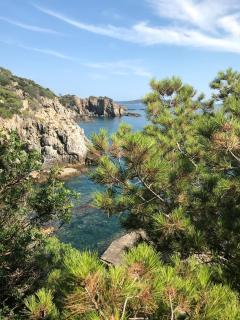 Villa-Cyprès-La-Polynésie-Giens - Hyères - 4