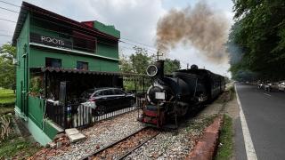 ROOTS by MOUNT OLIVE - Siliguri - 3