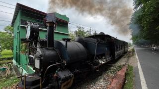 ROOTS by MOUNT OLIVE - Siliguri - 4