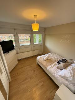 Luxury 3BDR apartment in King’s cross - London - 7