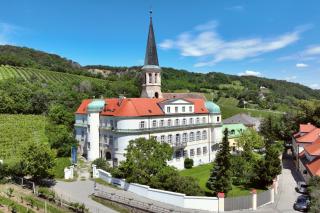 Schloss Gumpoldskirchen - Gumpoldskirchen - 9