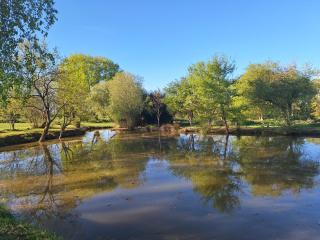 Environnement exceptionnel - Coulans-sur-Gée - 6