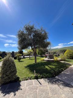 Agriturismo Tenute Spartà - Randazzo - 5