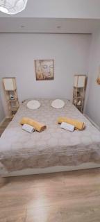 Glory Appartment pippinou - Athens - 6
