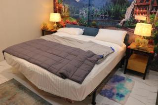 Luxury Manzil - 0