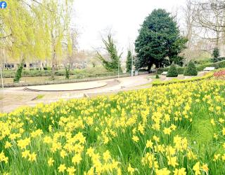 Maidstone Room Studio - Central - Maidstone - 8