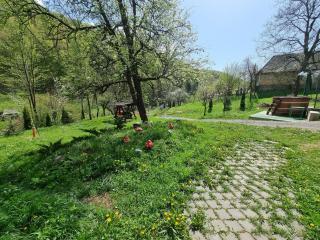 Cabana Ciupercuța - Baia Mare - 2