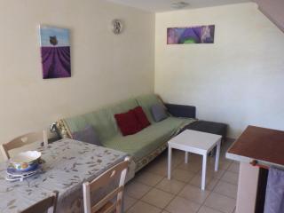 vacances en provence cyprès - 9