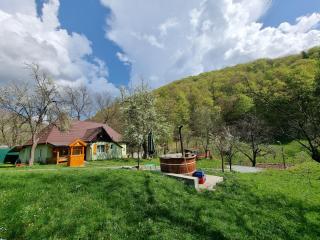 Cabana Ciupercuța - Baia Mare - 7