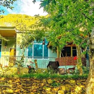 Green leaf Guest house - 8