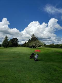 Garden Court Motel & Backpackers - Tauranga - 7
