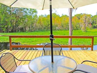 Gorgeous Riverfront Vacation Rental near Ocala, Florida - Dunnellon - 7