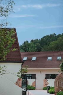 Nanjing Suli Village Retreat - - 4