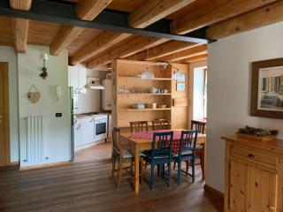 Villa Cleila Verde B - San Vito di Cadore - 7