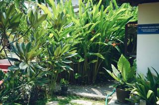 Hotel Holiday Home - Kovalam - 7