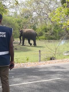 Surf Dream Villa Arugambay - 1