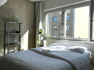 Kaunis tilava yksiö ydinkeskustan kupeessa - 8