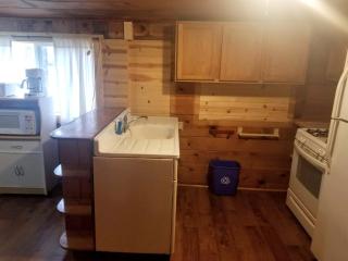 Secluded Cabin Rental with Fireplace on Moose Lake near Eau Claire, Wisconsin - Hayward - 5