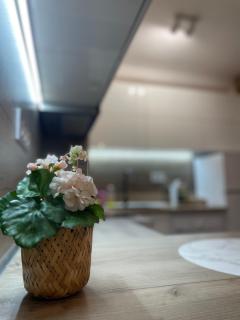 T place Varna Central Apartment 1 - 1