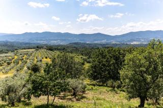 I Trebbiali - gli appartamenti - 8