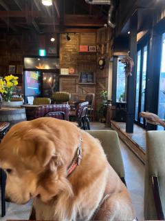 Drive in Ichinomiya motel - 3