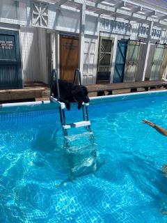 Drive in Ichinomiya motel - 2