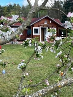 Eichberg Ferienhäuser - Fürstenberg-Havel - 4