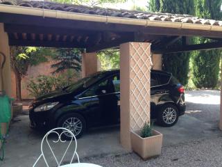 Stunning family villa with pool - Figanières - 1