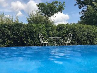 Stunning family villa with pool - Figanières - 6