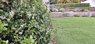 Moradia Stephanie - Funchal - 0