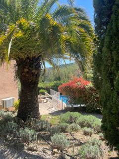 Stunning family villa with pool - Figanières - 3