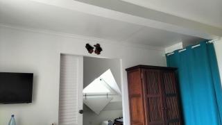 Appartement Margarita - Sainte-Luce - 6