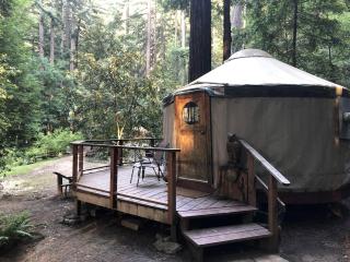 Private Glamping Getaway in the Redwoods near Santa Cruz, California - 9