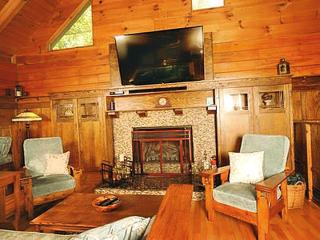 Luxurious Cabin Rental in Blairsville near Chattahoochee National Forest, Georgia - Blairsville - 8