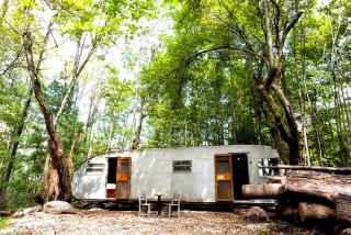 Rustic 1950s Campervan Rental on a Tranquil Farm near Poughkeepsie, Upstate New York - Woodridge - 8