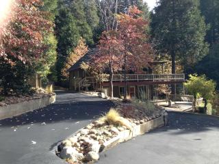 Gorgeous Cabin Rental with Spacious Furnished Deck in Pioneer, California - Pioneer - 6