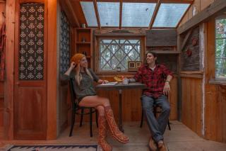Stay in a Tiny House in the Catskill Mountains of Upstate New York - Woodridge - 4