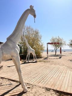 Aliana IBO studio - 7