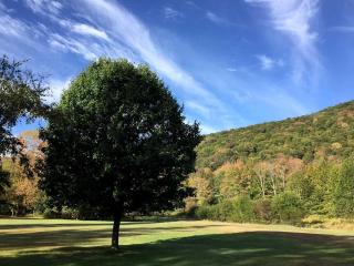 Simple Cabin Camping for Families in the Catskills of Upstate New York - Big Indian - 2