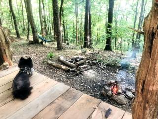 Tranquil Retreat Cabin Rental for a Woodland Vacation near Smithville, Tennessee - 6