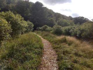 Beautiful Yurt with Breathtaking Views in Livingston Manor, New York - 4