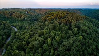 Amazing Secluded Cabin in Franklin, Tennessee - Fairview - 4