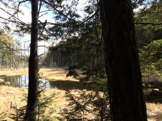 Rustic Vacation Rental for Couples near Hoffman Notch, New York - Schroon Lake - 4