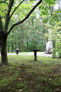 Enormous Vacation Rental with Forest Views near Nashville, Tennessee - Fairview - 6