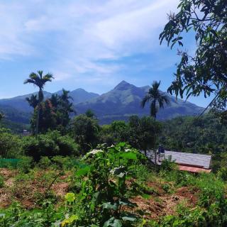 VIHA The Heaven - Meppādi - 4