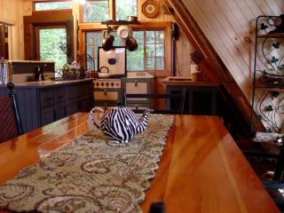 Riverfront Cabin Rental with Lovely Screened Porch near Potsdam, New York - Potsdam - 3