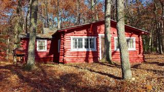 Secluded Lakeside Cabin in the Heart of the Manistee National Forest, Michigan - 9
