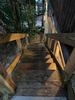 Modern Treehouse Rental with Pool for Glamping in Florida - 9