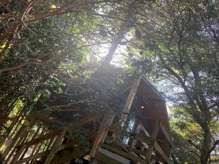 Modern Treehouse Rental with Pool for Glamping in Florida - 7