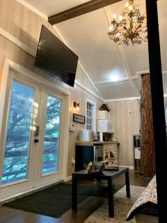 Modern Treehouse Rental with Pool for Glamping in Florida - 4